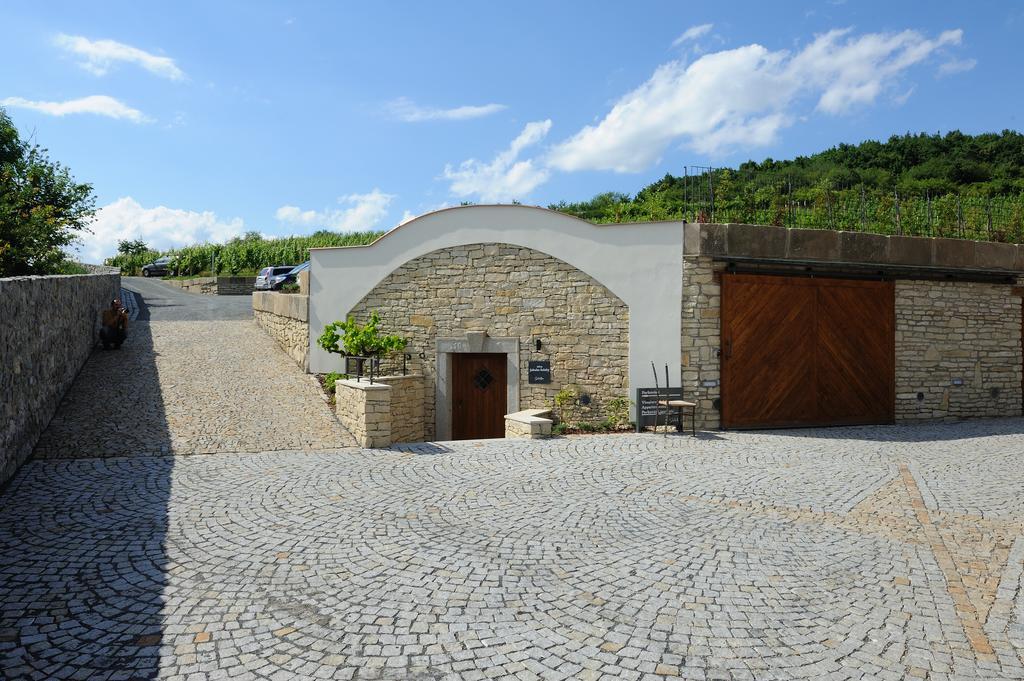 Apartmany Vinice Salabka Praha Bagian luar foto