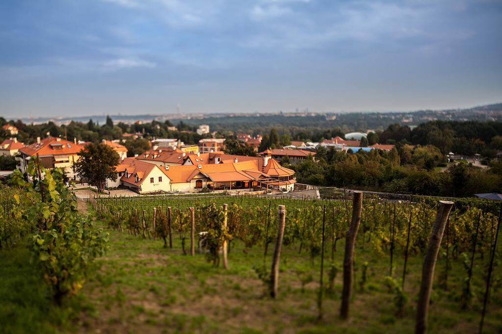 Apartmany Vinice Salabka Praha Bagian luar foto